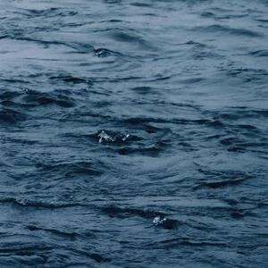 奶头被夹住扇打(H)鞭打
